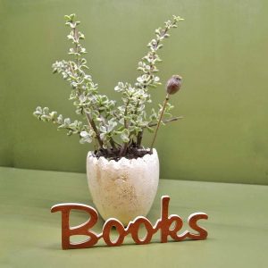 Medinis pastatomas užrašas "Books"