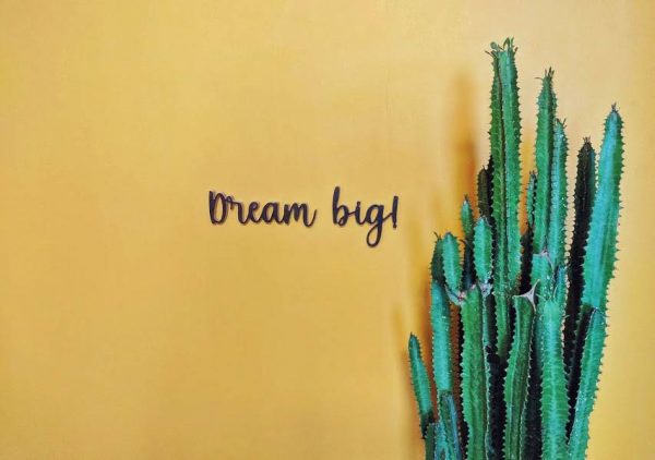 Medinis pakabinamas užrašas "Dream big!"
