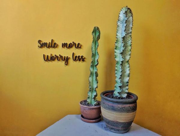Medinis pakabinamas užrašas "Smile more worry less" - Image 3