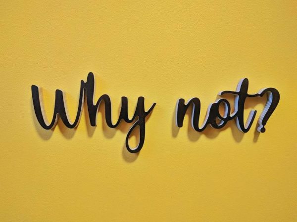 Medinis pakabinamas užrašas "Why not?" - Image 3