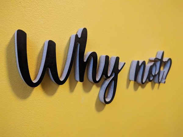 Medinis pakabinamas užrašas "Why not?" - Image 2